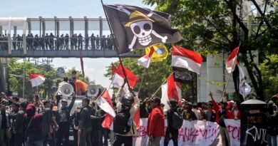 One Piece en protestas