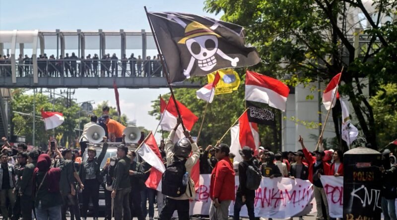 One Piece en protestas
