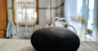 Google Home Mini